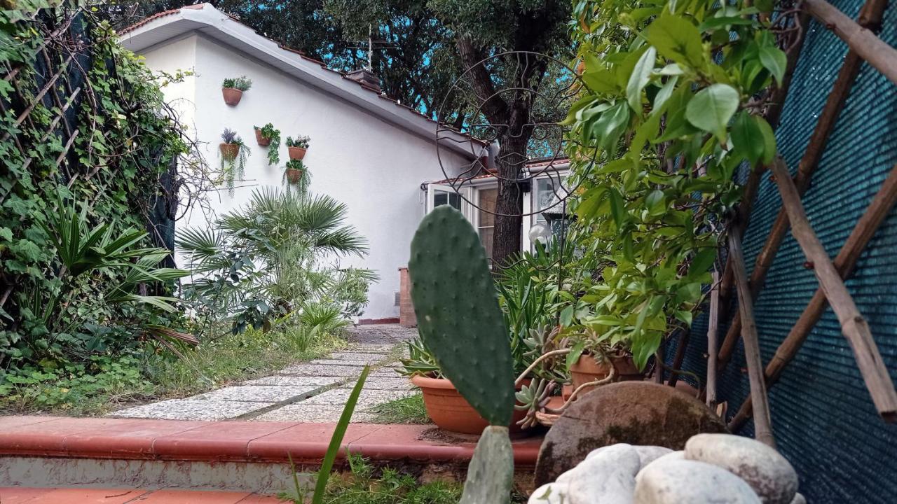 Villetta La Gabbianella ليفورنو المظهر الخارجي الصورة